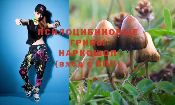 крисы Арсеньев
