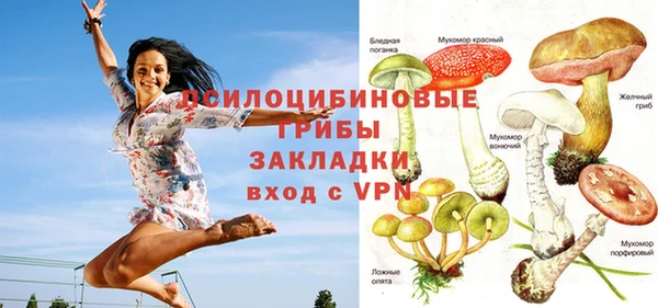 крисы Арсеньев