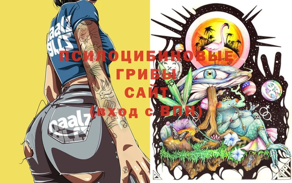 крисы Арсеньев